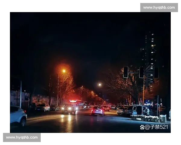 在风与星之间我们把沉默举成火炬照亮彼此前行的漫长夜路凝望远方