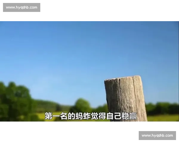 惊险刺激的斗昆虫比赛现场全记录与胜者传奇揭秘